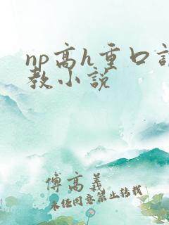np高h重口调教小说