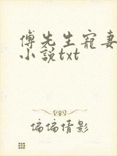 傅先生宠妻无度小说txt