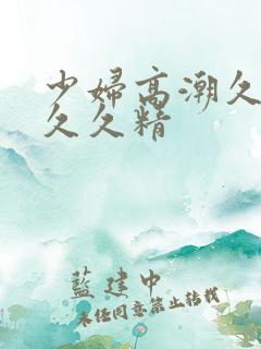 少妇高潮久久久久久精