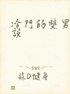 冷门的双男主小说