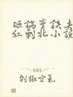 砸锅卖铁去上学红刺北小说未删版全文