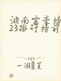 湖南富豪榜2023排行榜前十名