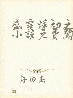 盛霆烨初之心的小说免费阅读