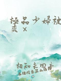 极品少妇被粗大爽ⅹ