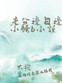 老公边日边叫我小骚b小说