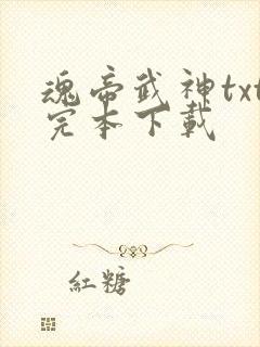 魂帝武神txt完本下载