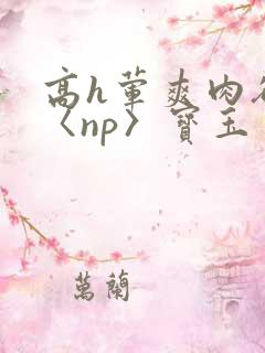 高h荤爽肉欲文〈np〉宝玉
