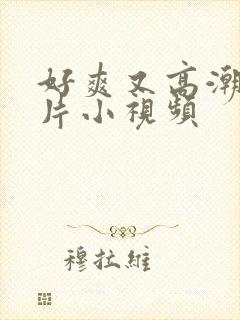 好爽又高潮了毛片小视频