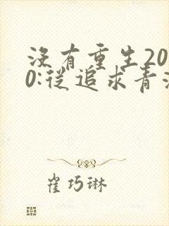 没有重生2000:从追求青涩校花同桌开始小说