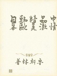 日韩精品中文字幕欧美激情