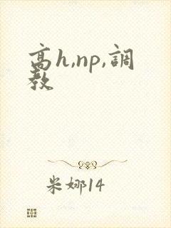 高h,np,调教