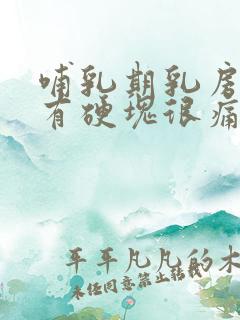 哺乳期乳房里面有硬块很痛