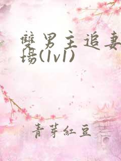 双男主追妻火葬场(1v1)