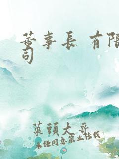 董事长 有限公司