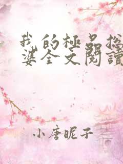 我的极品总裁老婆全文阅读