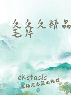 久久久精品国产毛片