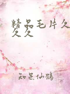 精品毛片久久久久久