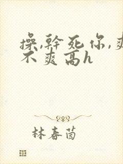 操,干死你,爽不爽高h