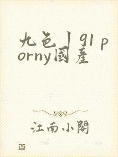九色丨91 porny国产