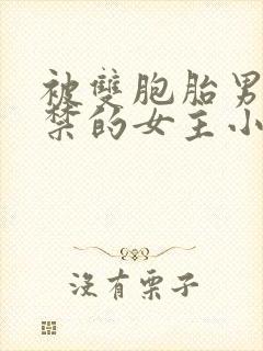 被双胞胎男主囚禁的女主小说