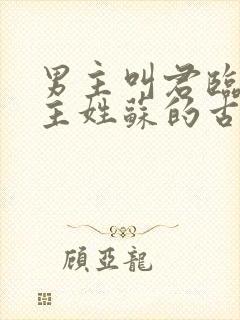 男主叫君临渊女主姓苏的古言小说