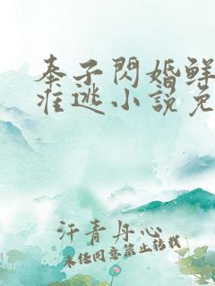 奉子闪婚鲜妻不准逃小说免费阅读