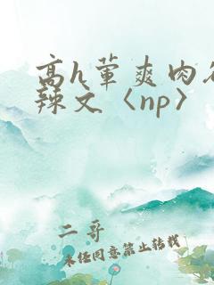 高h荤爽肉欲文辣文〈np〉