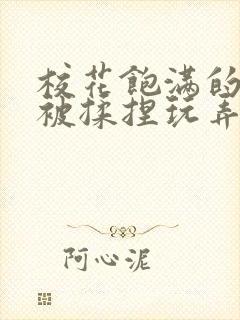 校花饱满的双乳被揉捏玩弄小说