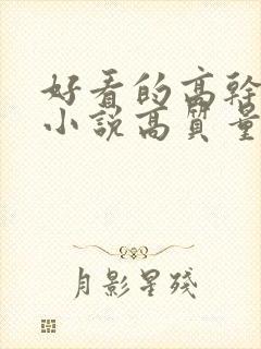 好看的高干言情小说高质量文笔好