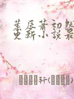 叶辰萧初然最快更新小说最新