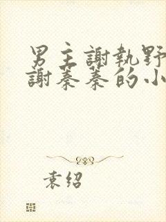 男主谢执野女主谢蓁蓁的小说