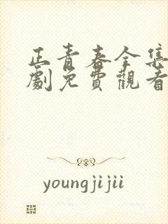 正青春全集电视剧免费观看