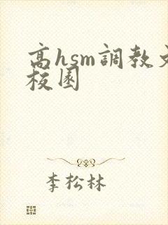 高hsm调教文校园