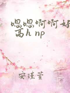 嗯嗯啊啊好爽啊 高h np