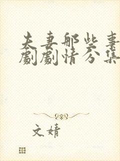 夫妻那些事电视剧剧情分集介绍