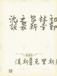 沈之昂林初窈小说最新章节免费阅读