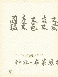 国产又爽又粗又猛又色又黄的