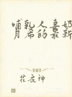 哺乳人妻奶水羽月希的最新章节内容