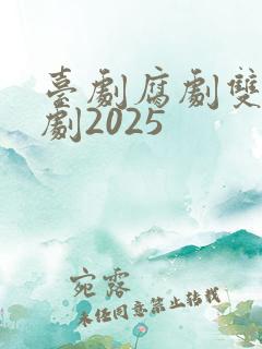 台剧腐剧双男主剧2025