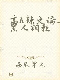 高h辣文娇妻被黑人调教