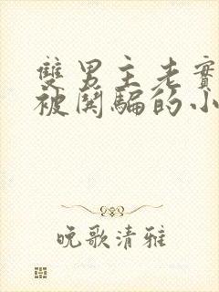 双男主老实人受被哄骗的小说