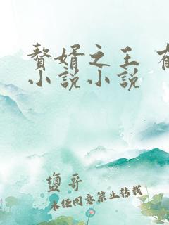 赘婿之王 有声小说小说