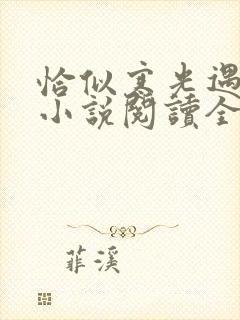 恰似寒光遇骄阳小说阅读全部