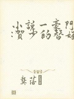 小说一豪门甜宠:贺少的替嫁新娘