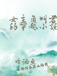 女主角叫君什么的穿越小说