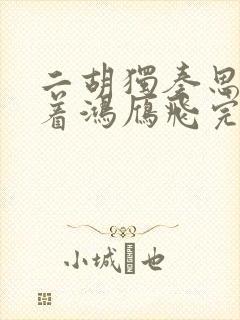 二胡独奏思念陪着鸿雁飞完整版