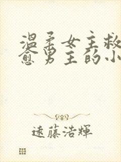 温柔女主救赎治愈男主的小说