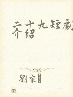 二十九短剧剧情介绍