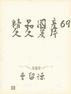 精品国产69久久久爰片