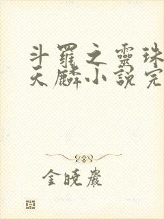 斗罗之灵珠神剑天麟小说完整版下载txt